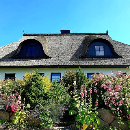 Insel Landhaus Bernstein Villa Gager Exterior photo