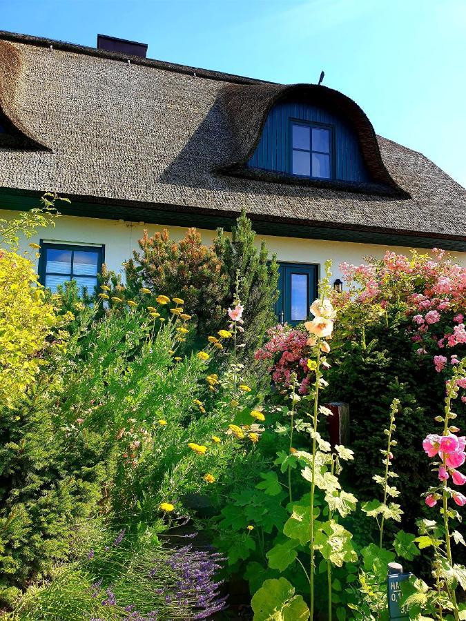 Insel Landhaus Bernstein Villa Gager Exterior photo